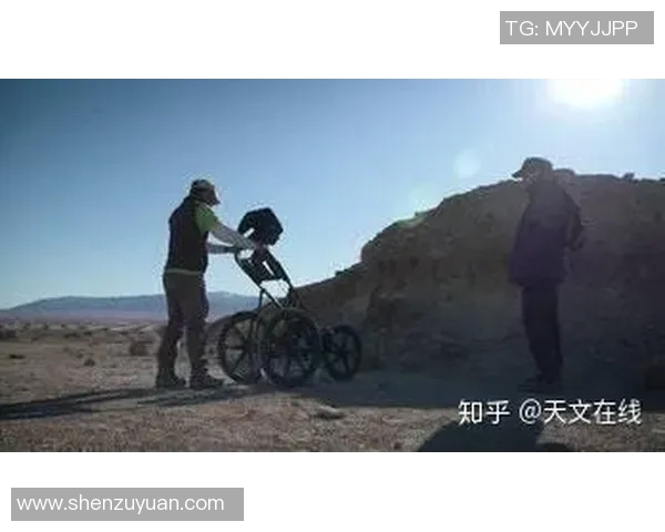 北京排球队耐力训练的秘密与挑战探讨
