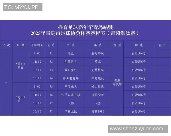 青岛足球明星王新宁的成长之路与未来展望