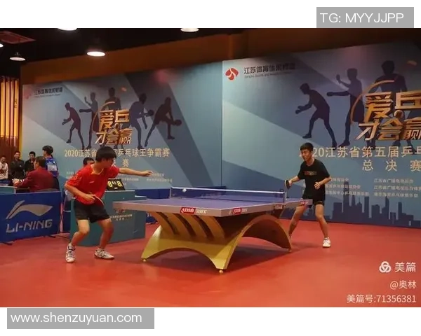 张强专访揭秘乒乓球成功秘诀与训练背后的故事