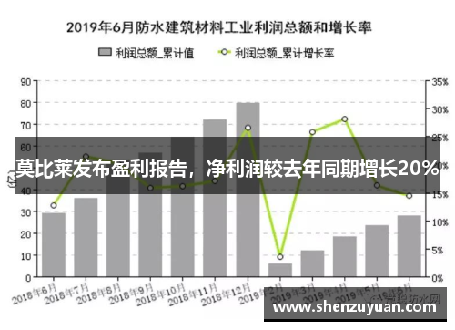 莫比莱发布盈利报告，净利润较去年同期增长20%